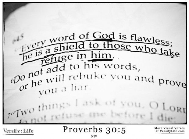 EVERY WORD OF GOD IS FLAWLESS