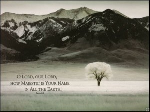 HOW MAJESTIC IS YOUR NAME! ::::::::::::::::::::::::::::::::::::::::::: “LORD, our Lord, HOW…