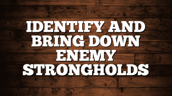 IDENTIFY AND BRING DOWN ENEMY STRONGHOLDS