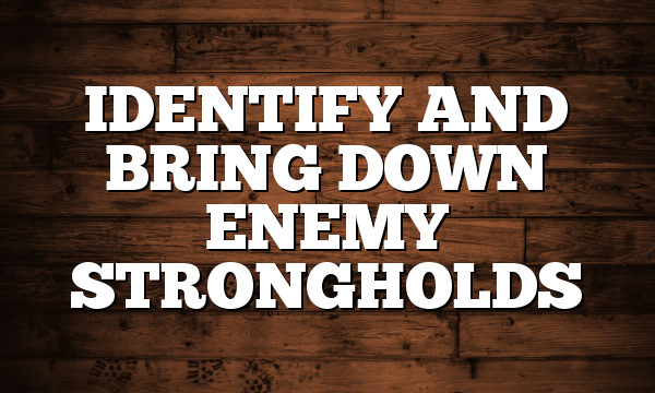 IDENTIFY AND BRING DOWN ENEMY STRONGHOLDS