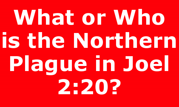What or Who is the Northern Plague in Joel 2:20?
