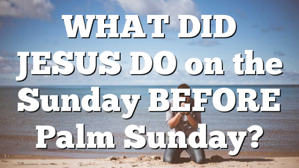 WHAT DID JESUS DO on the Sunday BEFORE Palm Sunday?