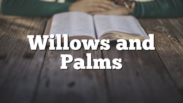 Willows and Palms