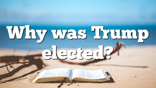 Why was Trump elected?
