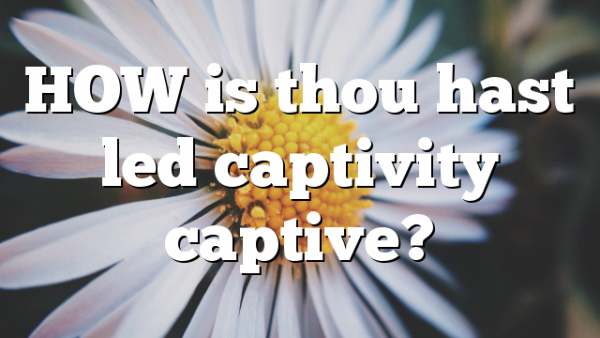 HOW is thou hast led captivity captive?