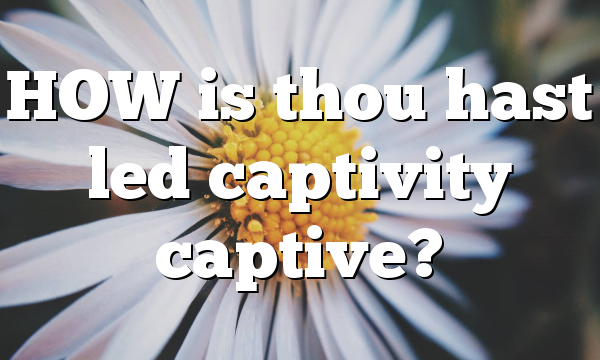 HOW is thou hast led captivity captive?
