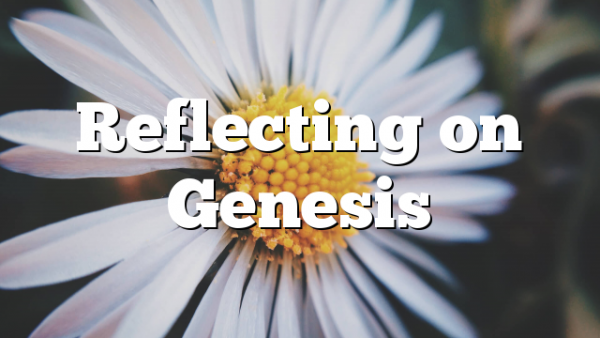 Reflecting on Genesis