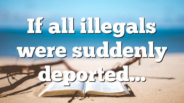 If all illegals were suddenly deported…