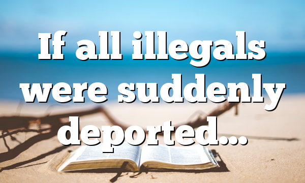 If all illegals were suddenly deported…