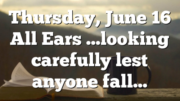 Thursday, June 16 All Ears …looking carefully lest anyone fall…