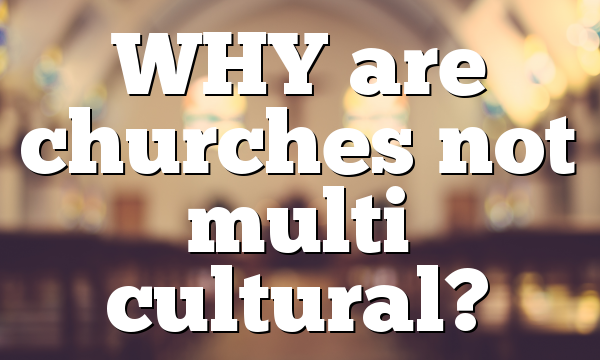 WHY are churches not multi cultural?