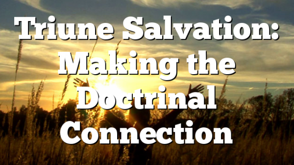 Triune Salvation: Making the Doctrinal Connection
