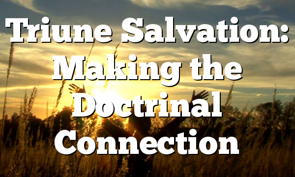Triune Salvation: Making the Doctrinal Connection