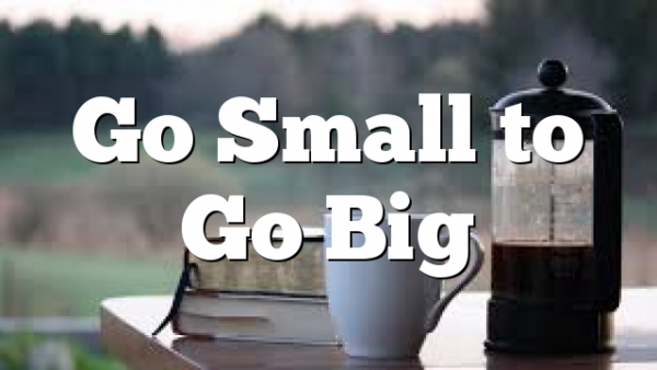 Go Small to Go Big