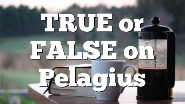 TRUE or FALSE on Pelagius