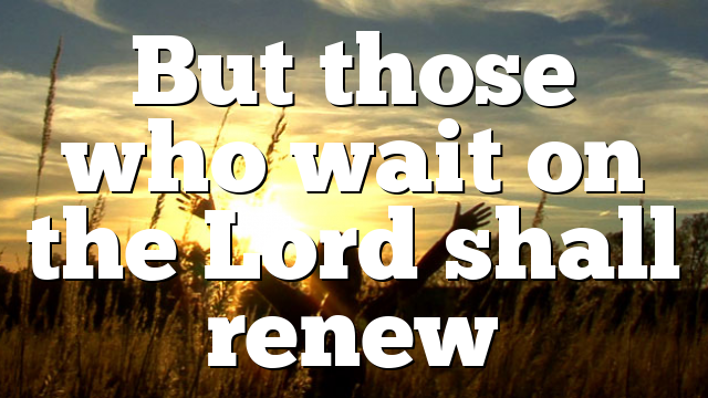 But those who wait on the Lord shall renew