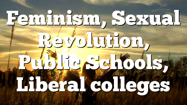 Feminism, Sexual Revolution, Public Schools, Liberal colleges