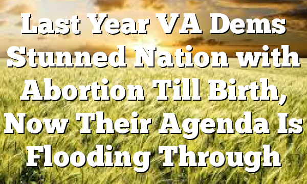 Last Year VA Dems Stunned Nation with Abortion Till Birth, Now Their Agenda Is Flooding Through