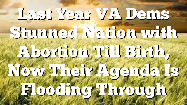 Last Year VA Dems Stunned Nation with Abortion Till Birth, Now Their Agenda Is Flooding Through