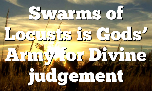 Swarms of Locusts is Gods’ Army for Divine judgement