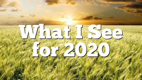 What I See for 2020