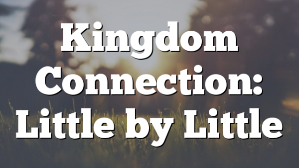 Kingdom Connection: Little by Little