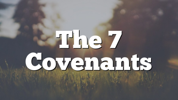 The 7 Covenants