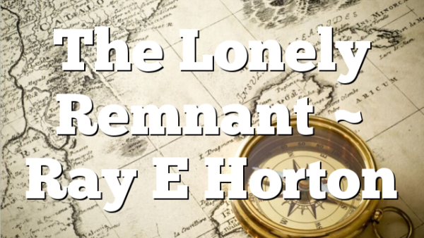 The Lonely Remnant ~ Ray E Horton
