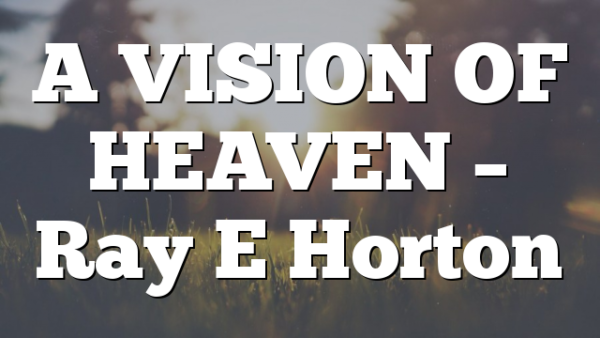 A VISION OF HEAVEN – Ray E Horton