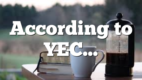 According to YEC…