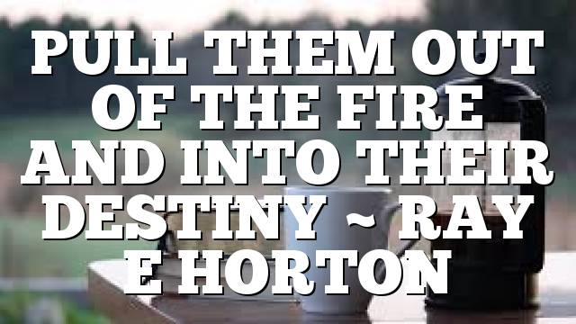 PULL THEM OUT OF THE FIRE AND INTO THEIR DESTINY ~ RAY E HORTON