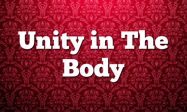 Unity in The Body