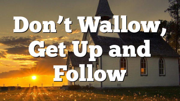 Don’t Wallow, Get Up and Follow