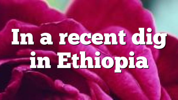 In a recent dig in Ethiopia
