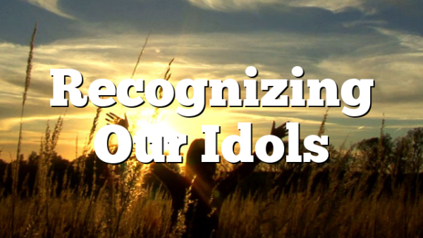 Recognizing Our Idols