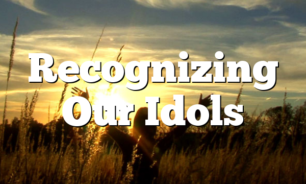 Recognizing Our Idols