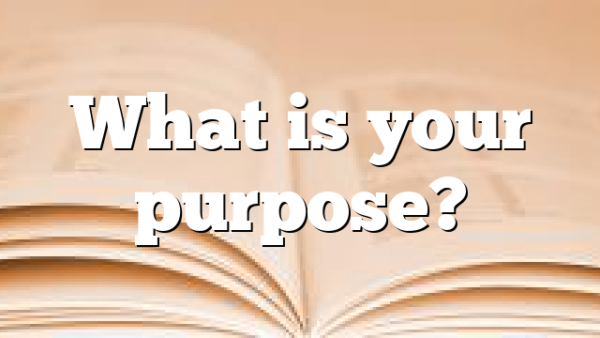 What is your purpose?
