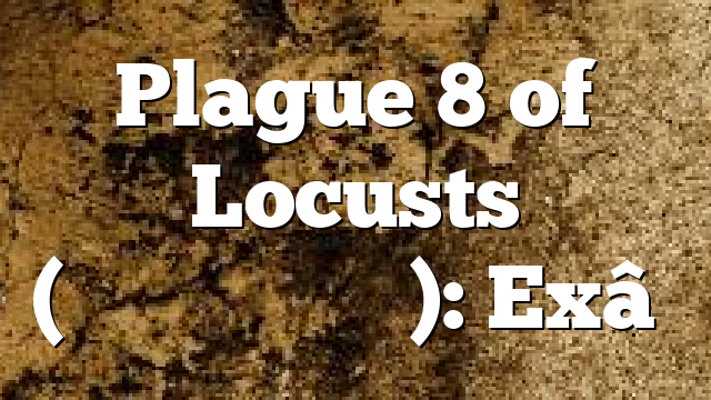 Plague 8 of Locusts (אַרְבֶּה): Ex….