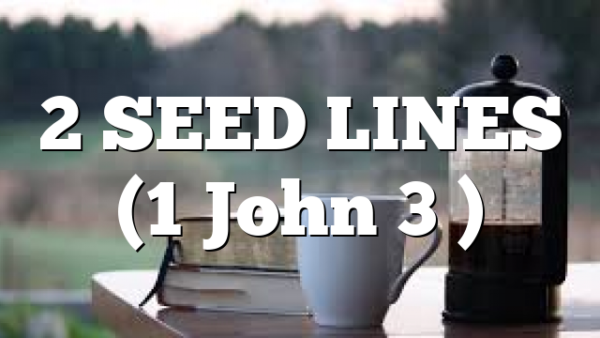2 SEED LINES (1 John 3 )