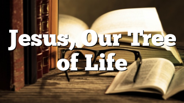 Jesus, Our Tree of Life
