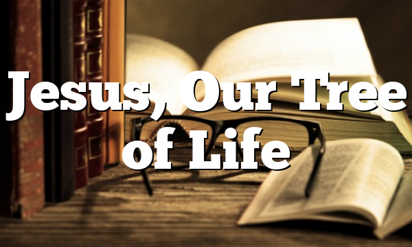 Jesus, Our Tree of Life