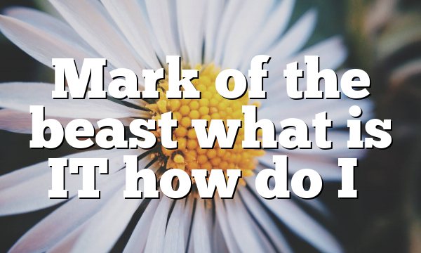 Mark of the beast what is IT how do I…