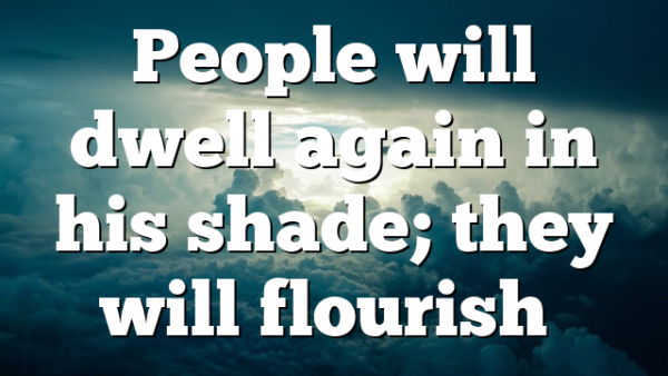 People will dwell again in his shade; they will flourish…