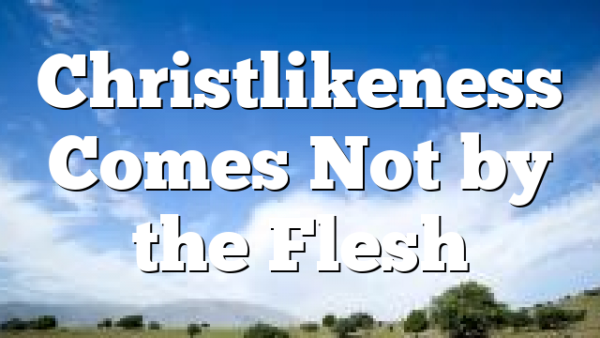 Christlikeness Comes Not by the Flesh