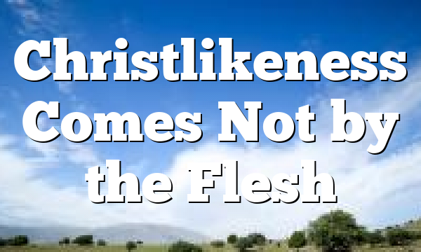 Christlikeness Comes Not by the Flesh