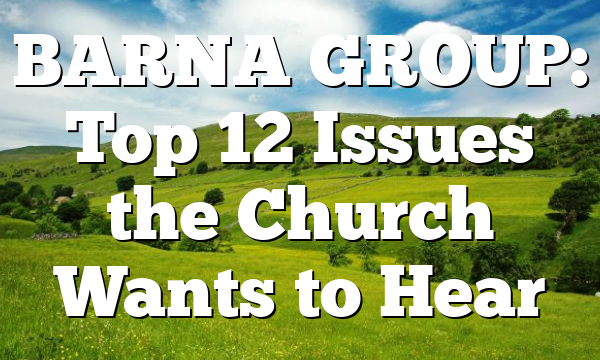 BARNA GROUP: Top 12 Issues the Church Wants to Hear