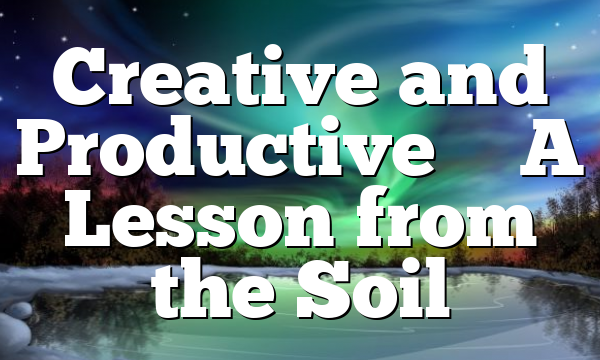 Creative and Productive – A Lesson from the Soil