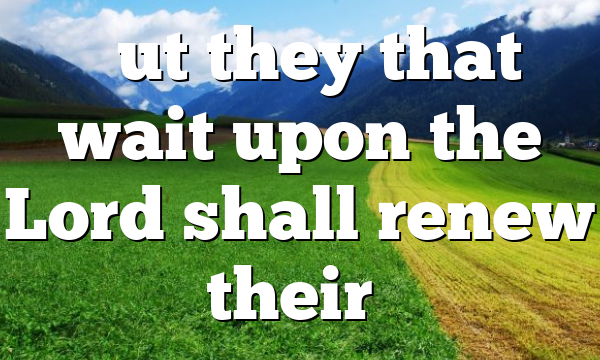 “But they that wait upon the Lord shall renew their…