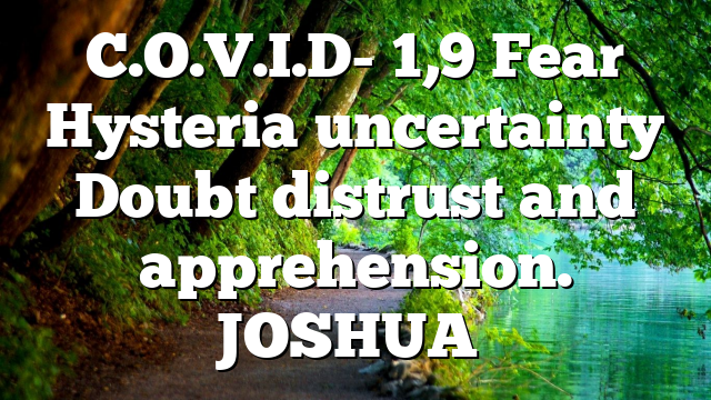 C.O.V.I.D- 1,9 Fear Hysteria uncertainty Doubt distrust and apprehension. JOSHUA…