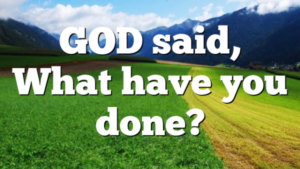 GOD said,  What have you done?